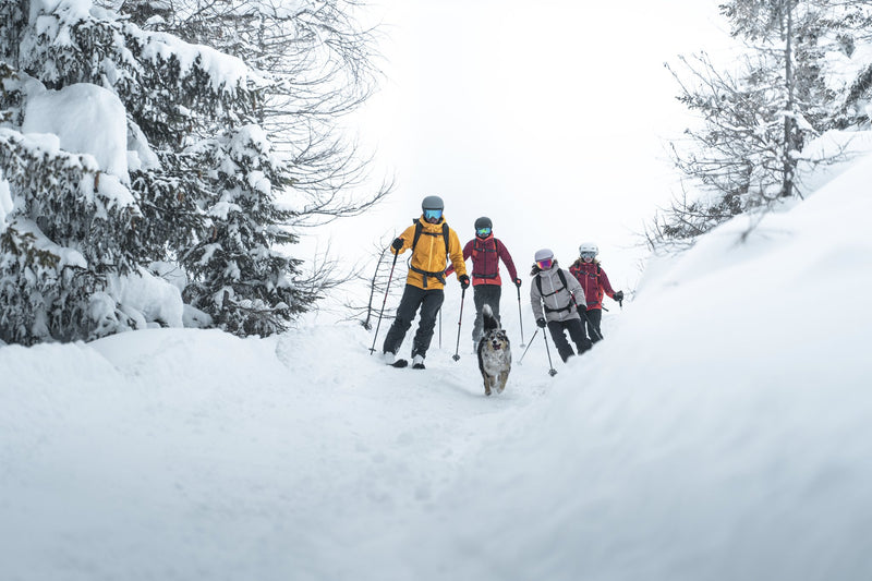 À vos skis, prêt, glissez !