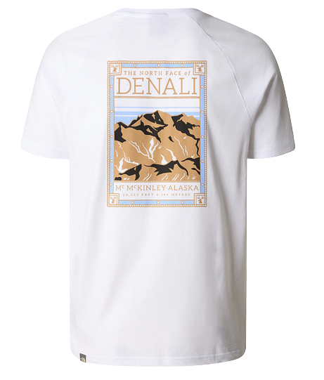 TEE SHIRT S/S HOMME THE NORTH FACE