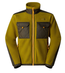 VESTE POLAIRE ROYAL ARCH HOMME THE NORTH FACE