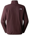 POLAIRE 1/4 ZIP GLACIER THE NORTH FACE