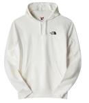 SWEAT SEASONAL GRAPHIC HOODIE HOMME THE NORTH FACE