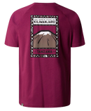 TEE SHIRT S/S HOMME THE NORTH FACE