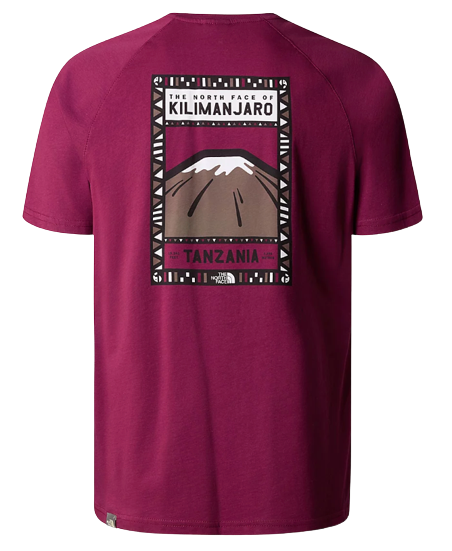 TEE SHIRT S/S HOMME THE NORTH FACE