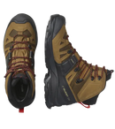 CHAUSSURES RANDONNEE QUEST 4 GTX SALOMON