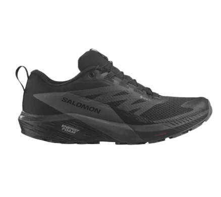 CHAUSSURES SENSE RIDE 5 GTX HOMME SALOMON