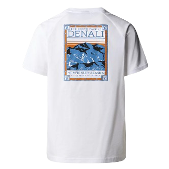 TEE SHIRT NORTH FACES HOMME THE NORTH FACE