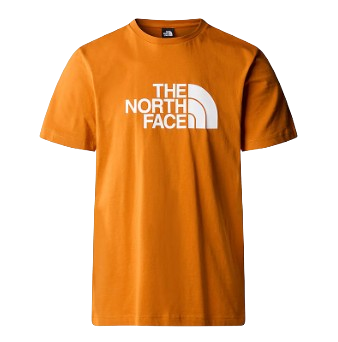 TEE SHIRT EASY THE NORTH FACE