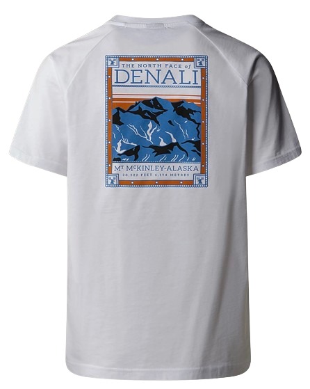 TEE SHIRT NORTH FACES HOMME THE NORTH FACE
