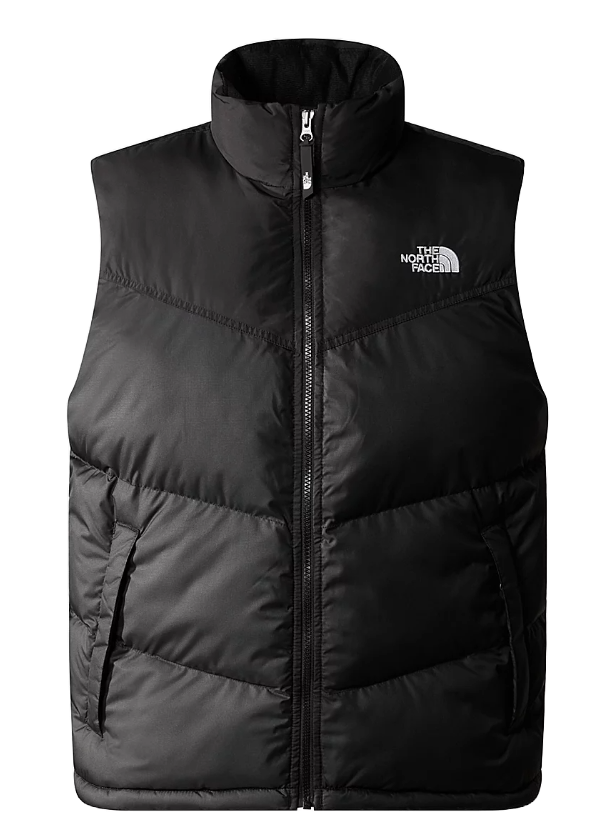 DOUDOUNE S/MANCHE SAIKURU HOMME TNF