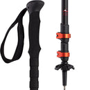 Bâtons téléscopiques (la paire)