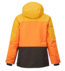 BLOUSON DE SKI DAUMY GARCON PICTURE